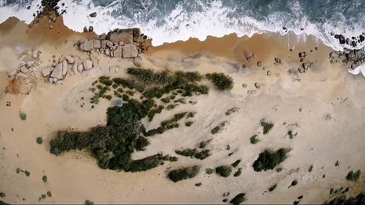 Discover the wonders of Chena Huts by Uga Escapes; glimpse the marvels of the luxurious mighty huts amidst lush forest and lagoon shared by Monique De Caro of http://www.beautiful-places.de. | Uga Chena Huts