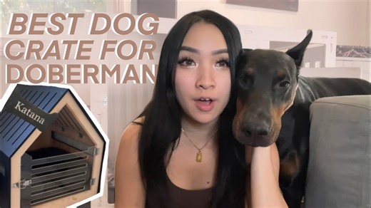 Heavy-duty crates provide ultimate safety for large dogs