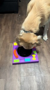 Pluto's DJ Doggo Puzzle Feeder Adventure