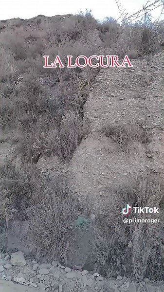 La locura