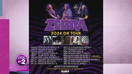 Zebra: Celebrating nearly 50 years strong!