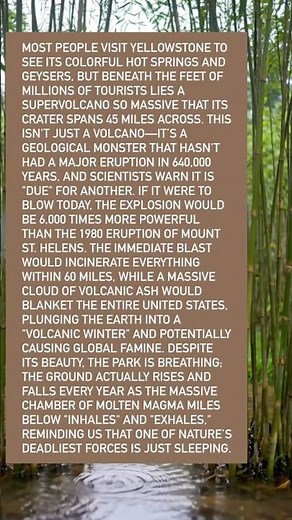 The Supervolcano Beneath Yellowstone National Park