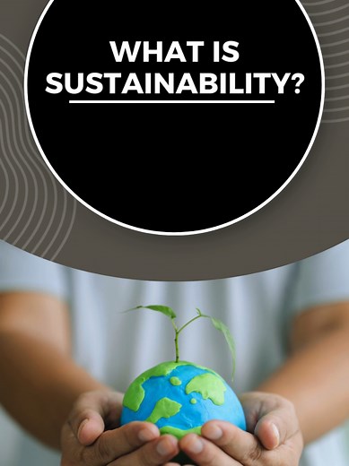 Sustainability 101: Easy Steps for a Greener Lifestyle