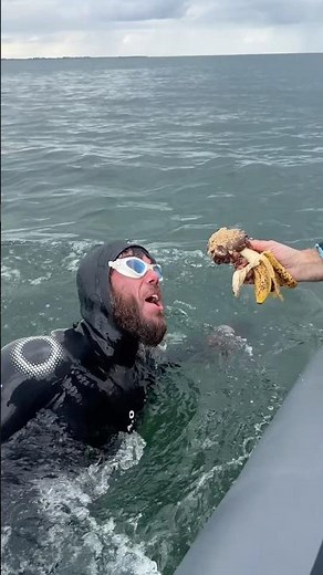 Chocolate covered (caffeinated) banana: 10,000 calorie diet fuelling 1,000 mile World Record Swim