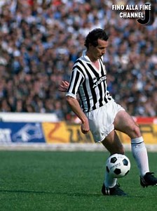 37K views · 1.2K reactions | Fino alla Fine Channel on Reels | Facebook