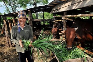 Poverty in Vietnam - The Borgen Project