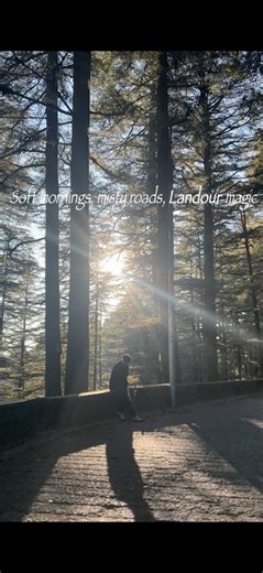 Landour Mornings Are Crazy