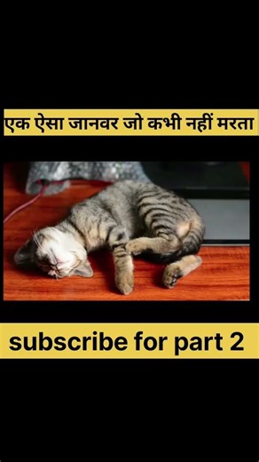 animal that never die ,😺 crazy facts part 1 #youtubeshorts