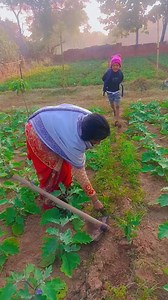 10K reactions · 25 shares | Original khortha comedy video #chhotushort #khushishorts #facebookreelsvideo #giridih_jharkhand | Chhotu Short | Facebook