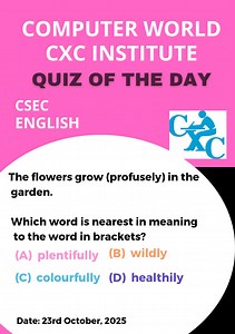 Quiz of the Day | Computer World Career Institute