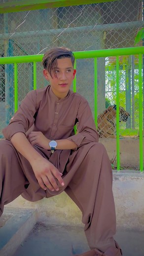 Person Performs Sign Language Near Tiger at Sanctuary