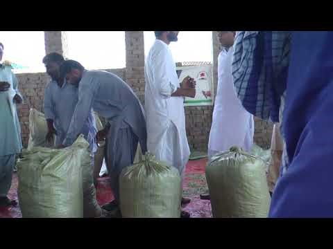 Empowerment Through Innovation: Transforming Small Farms with 50kg Silage Bags