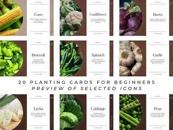 Seasonal Planting Cards - Printable Garden Planning Guide (instant Download JPG + PDF) - Etsy