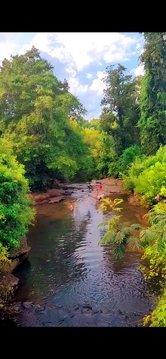 💦💧 Aqueduct Park 💧 💦 Repost! 📍Augusta Levee Rd, Augusta, GA Looking for a fun, local adventure a great way to escape the summer heat? 🥵🔥 Check out The Augusta Aqueduct Park! This hidden 19th-century granite aqueduct offers untouched beauty with its waterfall, walking/hiking/biking trails, swimming spots, and even rock climbing for the true adventurers. The park caters to families and welcomes dogs, too. Accessible from the Augusta Canal entrance (opposite the stadium), it's conveniently l