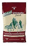 Feeding the covering stallion - Horse & Hound