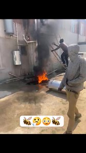 They are trying to chase the bees away,using tyres🤔😳🤔😳🤔😳🐝🐝🐝🐝🐝 | Frank Mxolisi Masondo