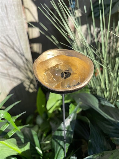 Bee and Butterfly Puddler Pollinator Water Station Insect Hydration Station Miniature Oasis for Bees Clay Cup Garden Accessory - Etsy