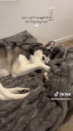 Girl Enjoying Cozy Moments in Big Dog Bed