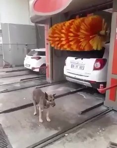 82K views · 1.6K reactions | Good morning. That weekend feeling! | UK Weather Forecasts | Facebook