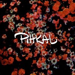 Elliot Adamson – Pihkal (2019) » download by NewAlbumReleases.net