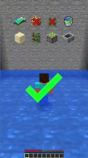 Which Blocks Can Animal Survive #minecraft