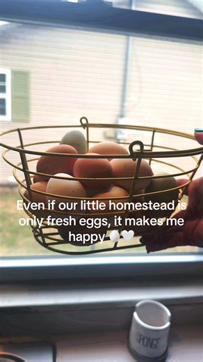 When we first got chickens we had all these big homestead dreams 💭 then our kids decided to be athletic 🤣 we keep a small garden 🍅, I make from scratch when I can 🍞, but nothing beats always having fresh eggs 🥚 Happy Sunday yall 🤍 #sundayreset #fresheggs #homestead #chickengirl