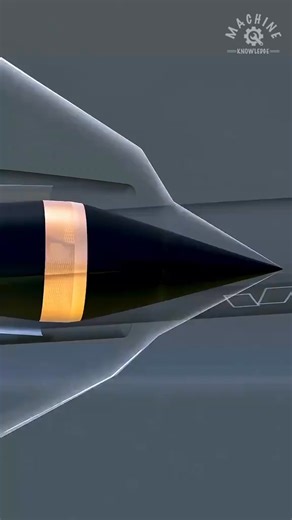 knowledge song on Reels