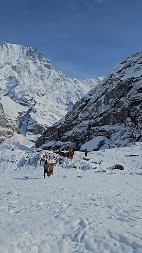 Api Base Camp, Darchula (Farwest Nepal)😍 Date : 28th April 2023 #apibasecamp #darchula #farwestnepal #phaeruwa | Himalaya Bhatt - Phaeruwa