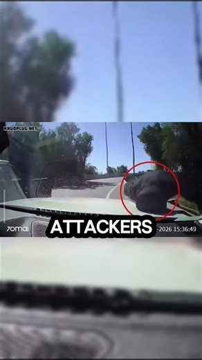Armed Highway Robbery Attempt in Chile Backfires When Driver Fights Back