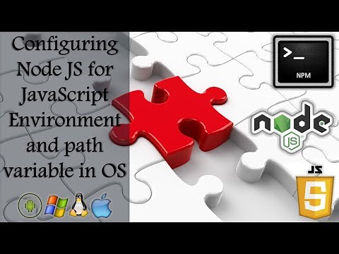 How to configure Node JS environment and path variable for JavaScript runtime