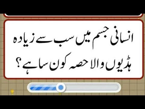 Sabse zada bones kis jaga pe hoti hen ??? jawab zaroor dena ha chahy google karen