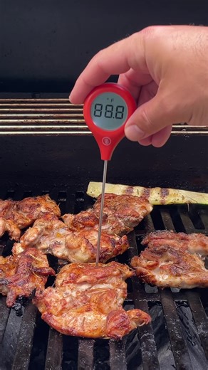 Best Instant-Read Meat Thermometer? I Tested ThermoWorks, ThermoPro, Javelin, Alpha Grillers, and Typhur