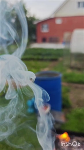 жирил шашлындос ...