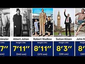 Tallest People in the World - Height Comparison