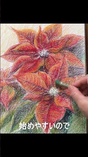 色を重ねて咲かせる冬の花｜クレヨンで描くポインセチア #アートクレヨン #かきかた #art