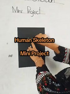 The Alliance School on TikTok