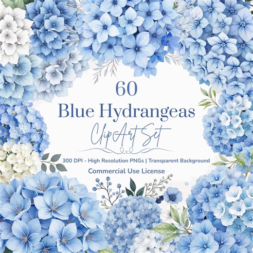 Blue Hydrangea Clipart PNG - 60 Watercolor Floral Illustrations (instant Download, Commercial Use License) - Etsy