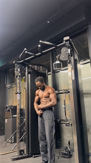 IBZ / UK on Instagram: "Try those simple exercises to improve your core & obliques strength and possibly could unlock your front lever,💰🫡 #core #calisthetics #fit #static"