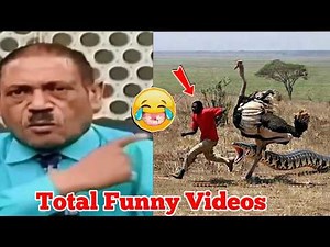 Extreme Funny Videos 😂😂 On TikTok, Try Not To Laugh, part 17