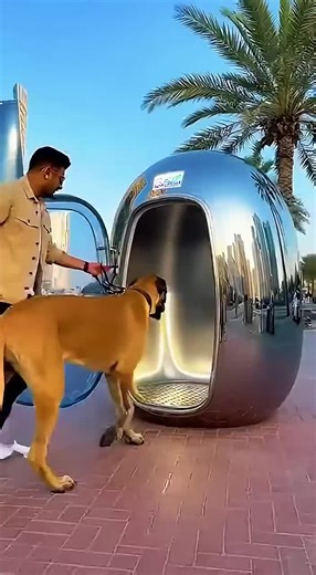 Dubai's OUTDOOR AI PET SHOWER Machine is UNREALISTIC😲🤖Robot Grooming Machine 3.0✂️Live! #ai #haircut #future #technology #2026