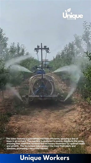 Orchard Care: Efficient Spraying Technique for Healthy Trees!