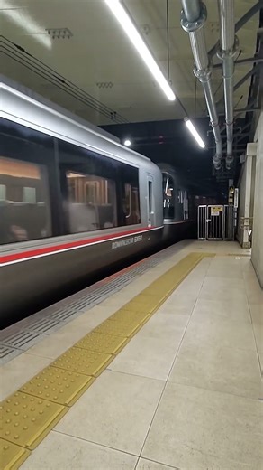 Shinjuku, Tokyo ロマンスカー・EXEα（エクセアルファ）（30000形）20251208 カメラ Google Pixel 5a