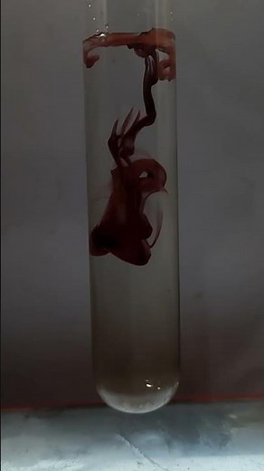 Potassium Dichromate & Silver Nitrate Reaction #experiment #silvernitrate #potassiumdicromate