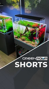 39K views · 779 reactions |  Szépen fejlődik az egyik legújabb 60...