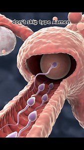 1.1M views · 2K reactions | Sperms meets an egg fertilization journey #pregnancyjourney #momlife #pregnancy #momlife #MiracleBaby #usareels #losangeles “Have you ever seen life being created this closely? Have you ever wondered how God’s power can create two lives in a single moment?”#MedicalAnimation #EmbryoDevelopment #TwinPregnancy #IdenticalTwins #Fertilization #AIAnimation #ScienceFacts #DidYouKnow #HumanLife #PregnancyScience | medical Womb | Facebook