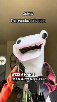 Jokes #puppet #laugher #funnyjokes #funny #jokes #foodjokes
