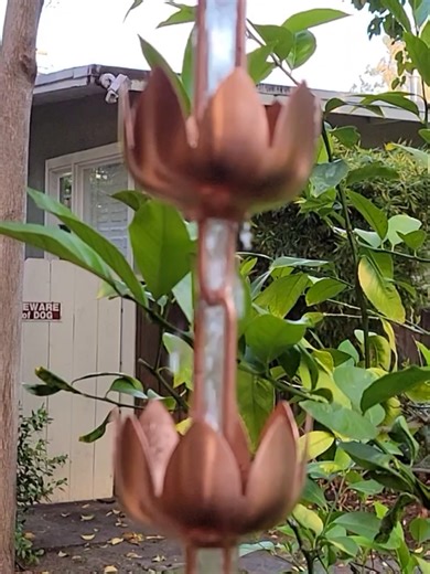 ✨ Update your gutter system with elegant floral design and modern performance — shop the Lily Flower Cups Rain Chain today! Link in bio 🌧 💧 #rainchain #modernhome #gardeninspo