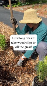 349K views · 1.8K reactions | These wood chips went down on April...