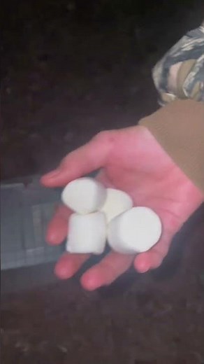 How to trap a possum. No animals were hurt. #hunting #trapper #viralvideo