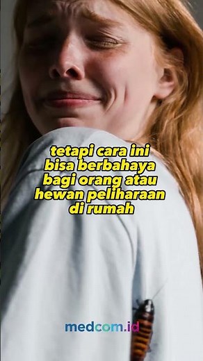 BIKIN RESAH! INI TIPS USIR KECOA DENGAN BAHAN ALAMI